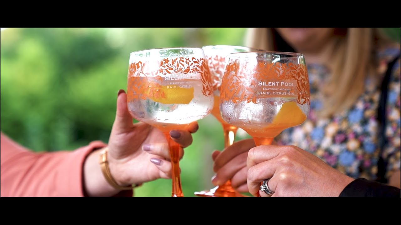 Silent Pool Rare Citrus Gin Launch Event