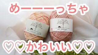 【かぎ針編みバッグ】エコアンダリヤ2玉使い切ったらめーっちゃ可愛いバッグが出来ました♡♡croshet bag tutorial