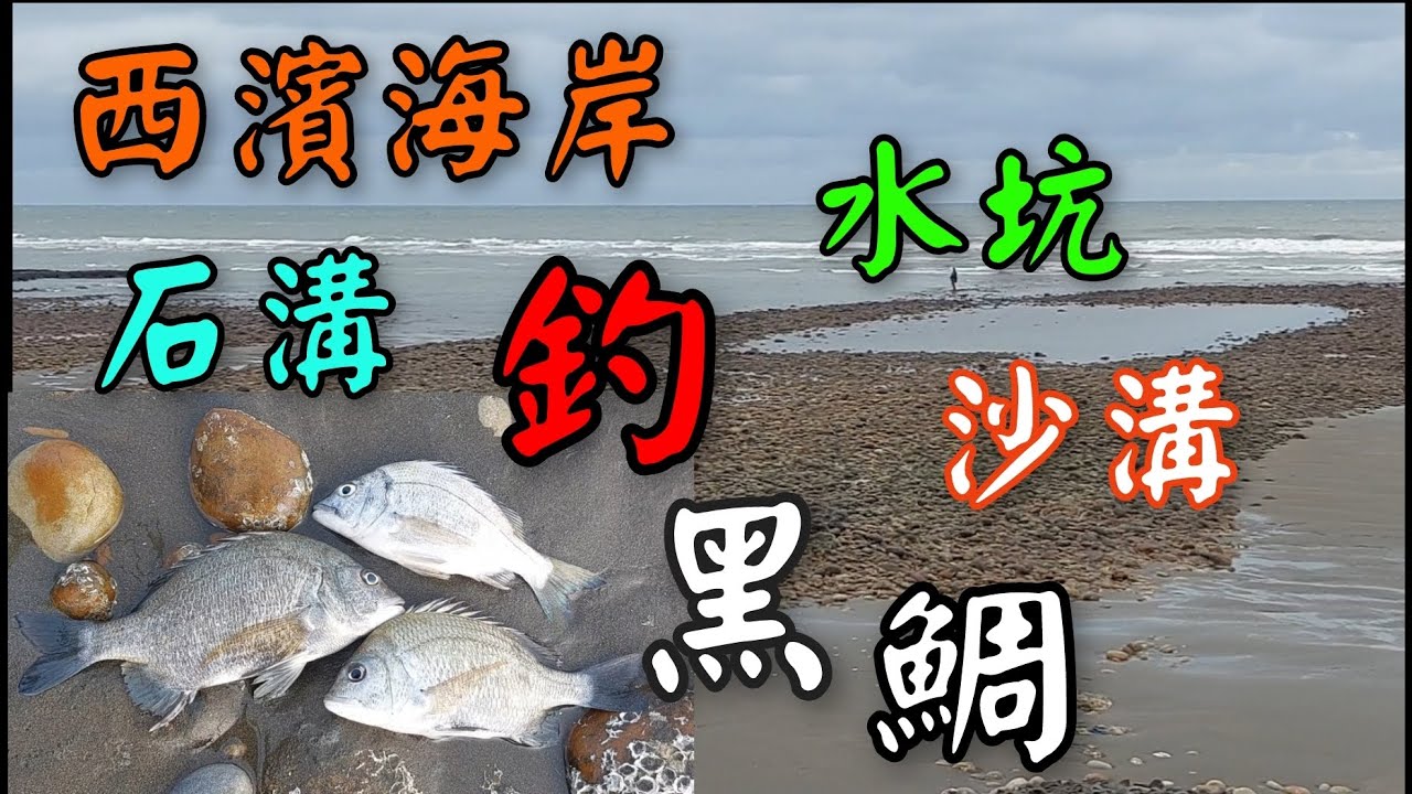 西濱海岸 淺灘 石溝 砂溝 釣黑鯛