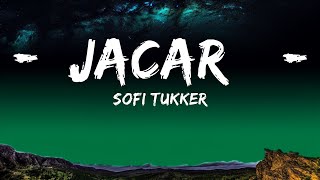 SOFI TUKKER - Jacaré (Lyrics)  | 25 Min