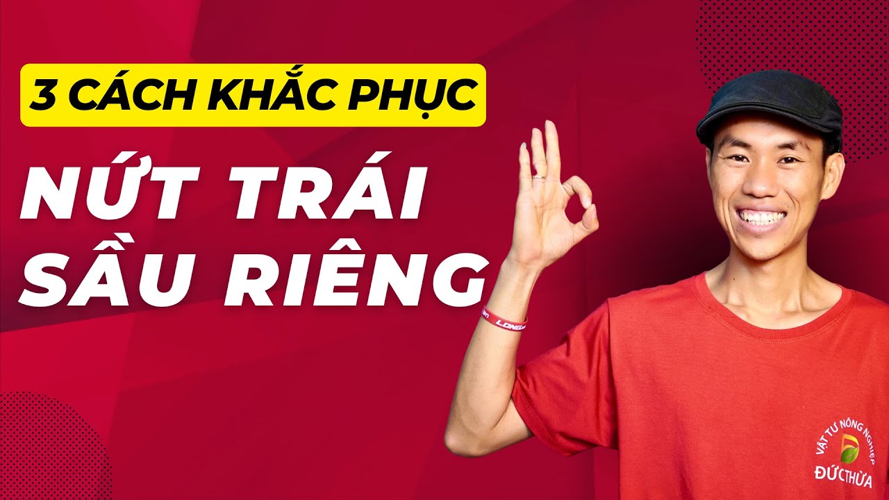 3 cách khắc phục nứt trái sầu riêng cách cuối cùng ai cũng biết nhưng không làm | Phạm Đức Thiện