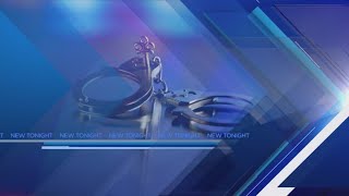 Knoxville man accused of impersonating security guard at fair concert