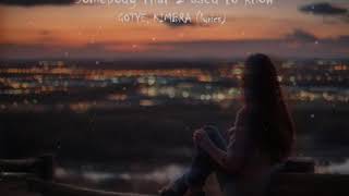 Somebody that I used to know (lyrics) - Gotye ft. Kimbra