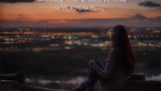 Somebody that I used to know (lyrics) - Gotye ft. Kimbra Resimi