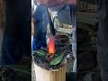 technique of gilding knives for cutting sacrificial meat #blacksmith #forging #iron #metalwork