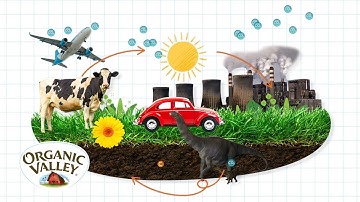 Carbon Sequestration Explained | Ask Organic Valley