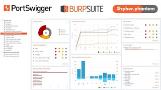Burp Suite Professional | PortSwigger | Beginner to Intermediate | #portswigger #burpsuite #hacking