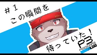 【ペルソナ３リロード】この瞬間を待っていたんだぜ！【ネタバレ注意】