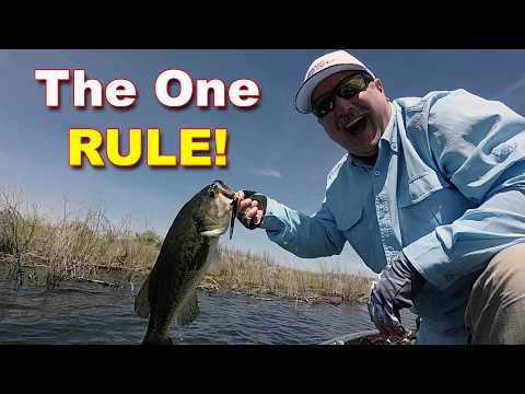 How to Find Bass All Year &mdash; One Simple Rule | Bass Fishing

Bass are always on the move &mdash; from deep to shallow and back again &mdash; and the routes they use are incredibly consistent year-round. If you learn how to identify transition banks and migration highways, you&rsquo;ll know exactly where bass stop, feed, and stack up during every seasonal shift.

#How #Find #Bass #All #Year