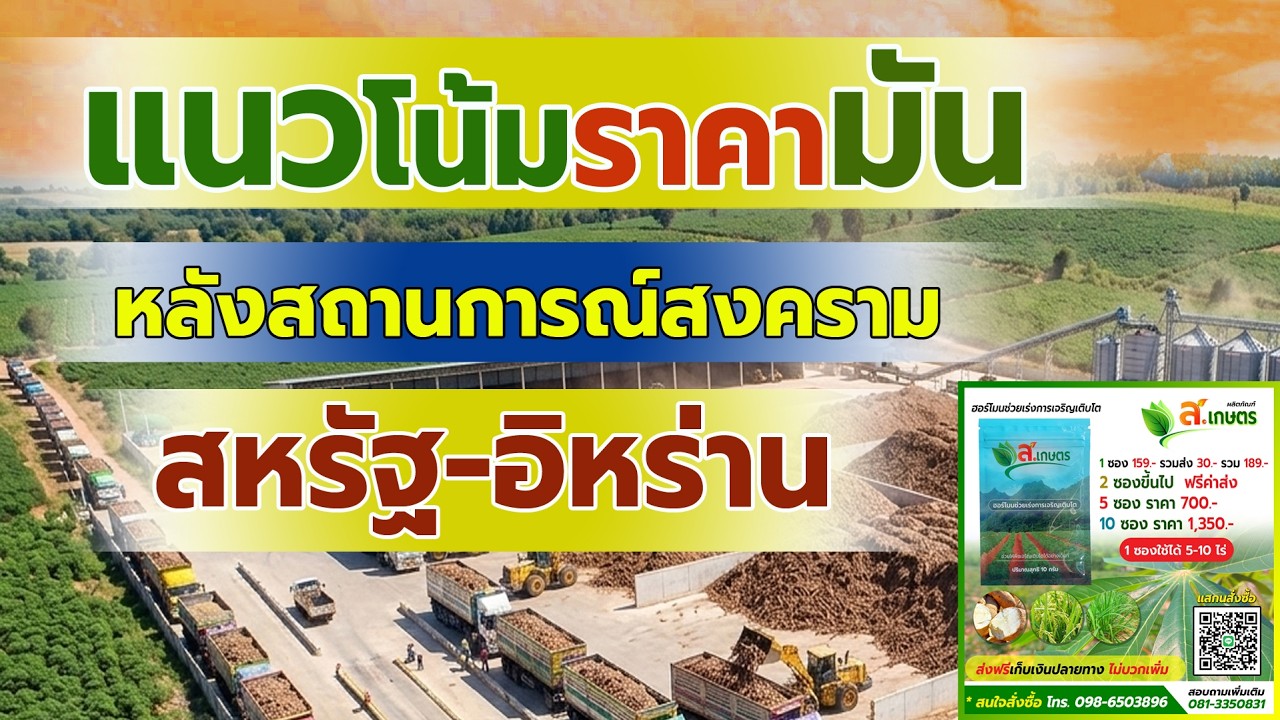 แนวโน้มราคามัน หลังสถานการณ์สงครามสหรัฐ-อิหร่าน