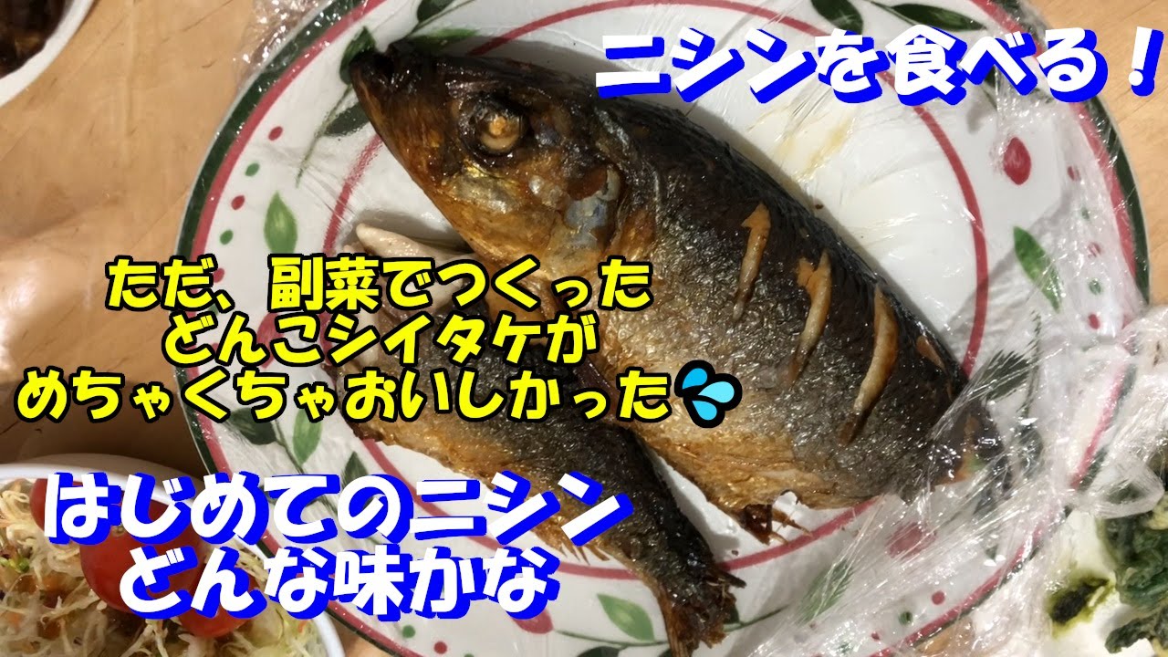 第11話 ニシンの塩焼きを食べてみた ただ 副菜がおいしすぎた Youtube