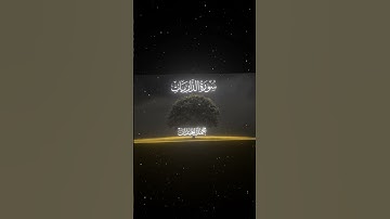 سورة الذاريات|50-51|القارئ:#محمد_اللحيدان #قران #quran #راحة_نفسية#قران_كريم#تلاوة_هادئة#تلاوة_خاشعة