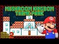 Super Mario Maker 2 - Amazing &quot;MUSHROOM KINGDOM THEME PARK&quot; Level