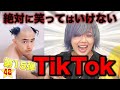 【腹筋崩壊】第15回！絶対に笑ってはいけないTik Tok！