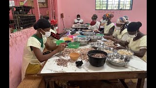 Cashew Processing in Ghana: A Battle Between Potential and Reality