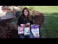 Planting Ornamental Grasses & Bulbs! 🌾🌷// Garden Answer