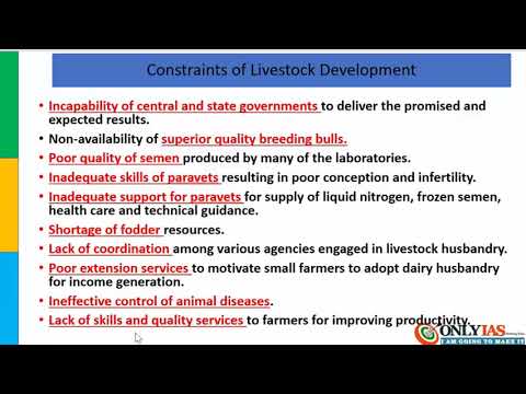Economics of animal rearing | 28 dec - YouTube