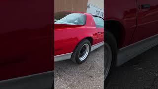 Or do you prefer #red #head T-Top TransAms?