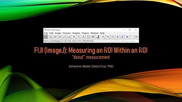 FIJI (ImageJ): Measuring an ROI within an ROI  [irregular donut measurement]