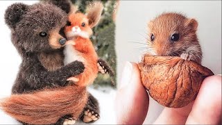 самые милые животные видео сборник милый момент животных   самые милые животные # 16