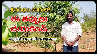 శ్రీగంధం సాగులో నేను చేసిన పొరపాట్లు | Srigandham Cultivation Host Plants Selection In Telugu 2021