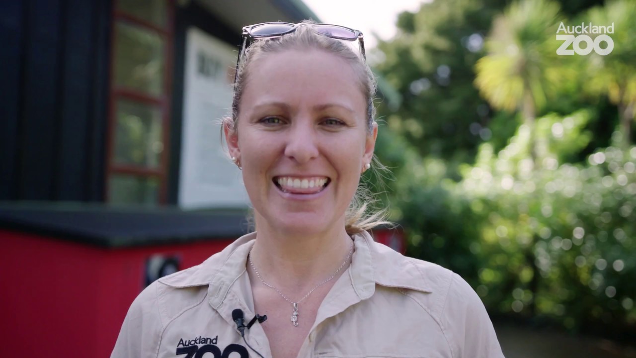 A big thank you to all volunteers