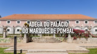 Adega do Palácio Marquês de Pombal • Oeiras • Portugal | BeSisluxe Tours