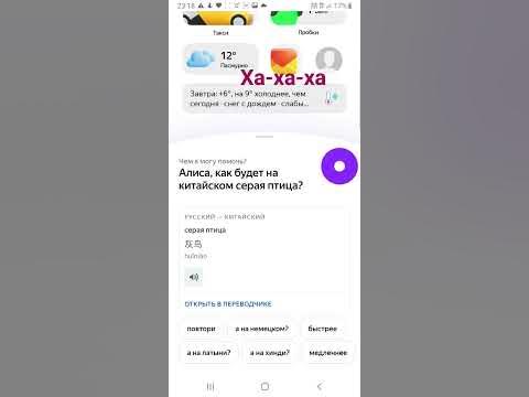 Заставил Алису материться - YouTube