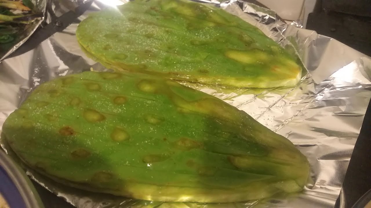 NOPAL ASADA EN COMAL SOBRE PAPEL ALUMINIO - YouTube