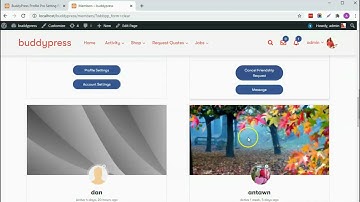 BuddyPress Profile Pro - Add Repeater Fields or Groups of Fields Dynamically to Front-End Forms