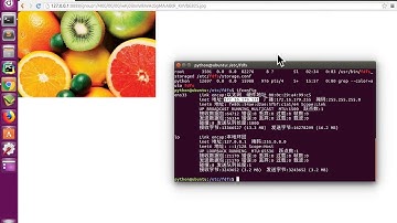 【06 分布式FastDFS文件系统】08 自定义文件存储类
