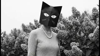 Cold tea, dark sun