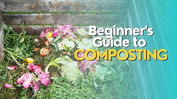Beginner
