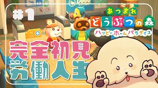 【あつ森|ハピパラ】1日目 | 完全初見に待っていたのは労働人生【 Vtuber #ぽた犬】