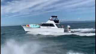 Salthouse Corsair Santana