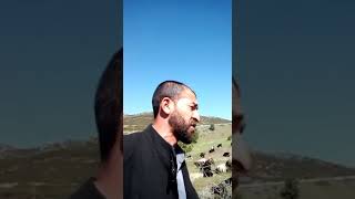 Yazımı kışa çevirdin leylam (sedat varlı)