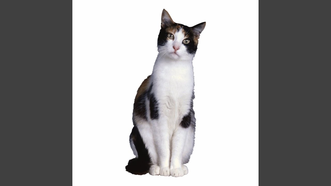 Дисс на андре и данила - YouTube Music