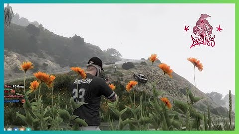 4Head reviews Miguel