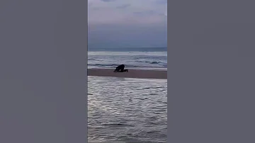 زلزال حسيت بالزلزال آه لأ 