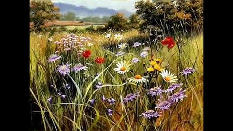 سورة العاديات _ تلاوة مؤثرة جدا _ القارئ عبد الرحمن مسعد ...