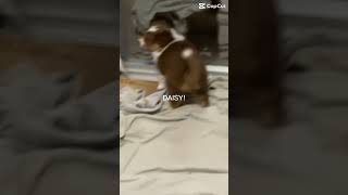 SMOOTY🩷🩷😍