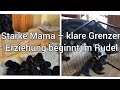 🖤 Mutterhündin Sünne & ihre 11 Welpen – Starke Erziehung & sanfte Distanz | Hamfelder Flats