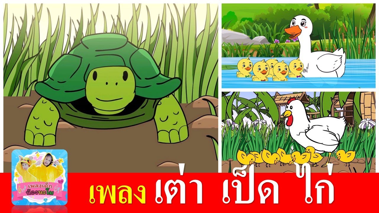 เพลงเด็กในตำนาน เต่า เป็ด ไก่ | เต่าเอ๋ยเต่า | เป็ดอาบน้ำในคลอง | ไก่กุ๊กกุ๊กไก่