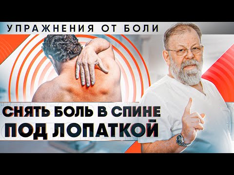 Видео: Какви са 7-те най-чести мускулно-скелетни проблеми при кучетата?