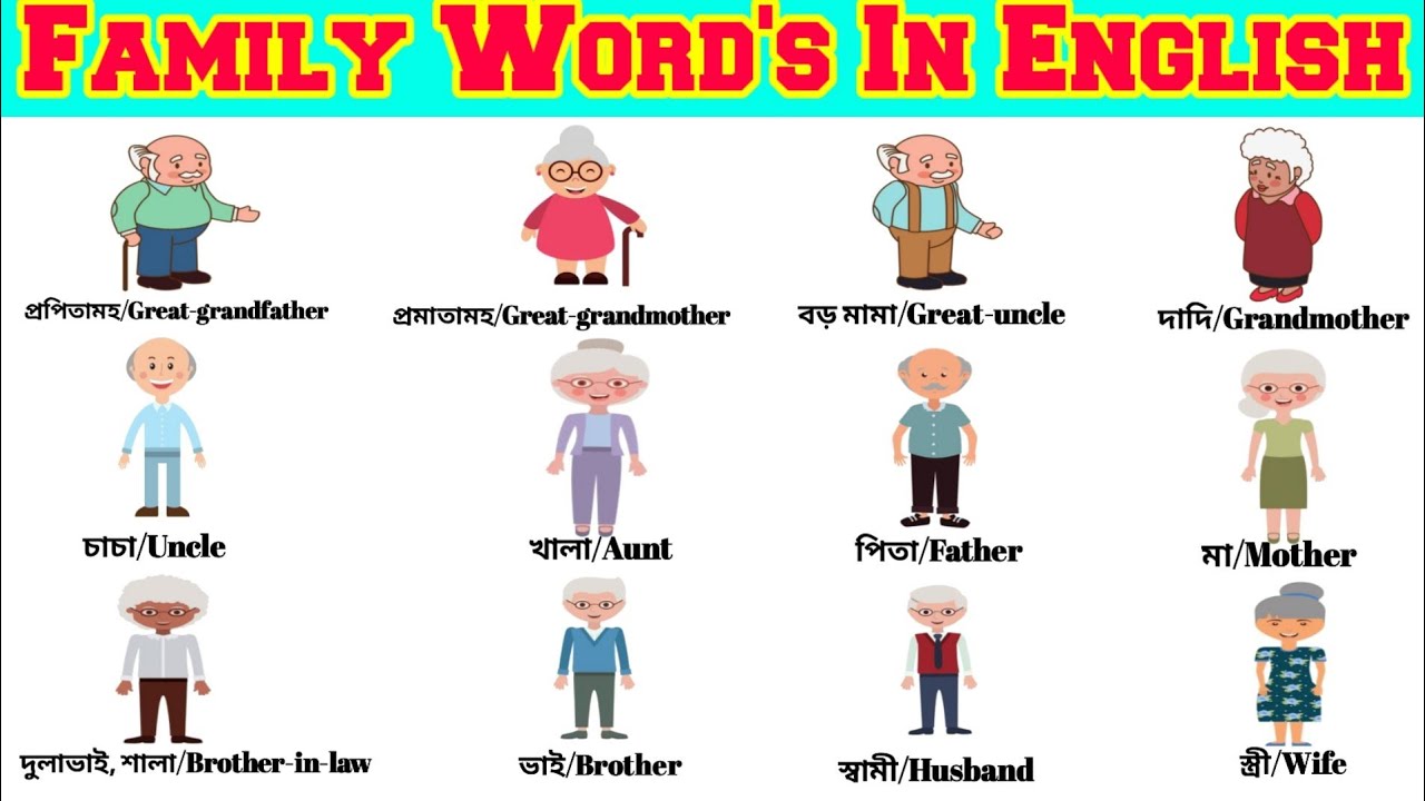 Family Related words in English ll Family Members ll English Vocabulary ...