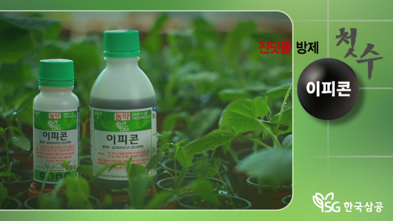 2024 SG한국삼공 신제품! 진딧물 방제의 첫 수! '이피콘'