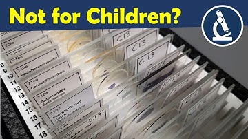 Why you should not show prepared slides to beginners and children 🔬