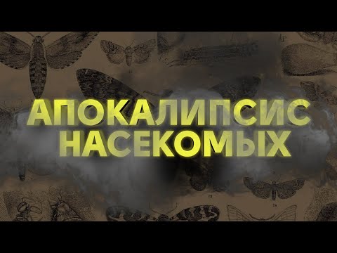 Видео: Убьет ли диатомовая земля хороших насекомых?