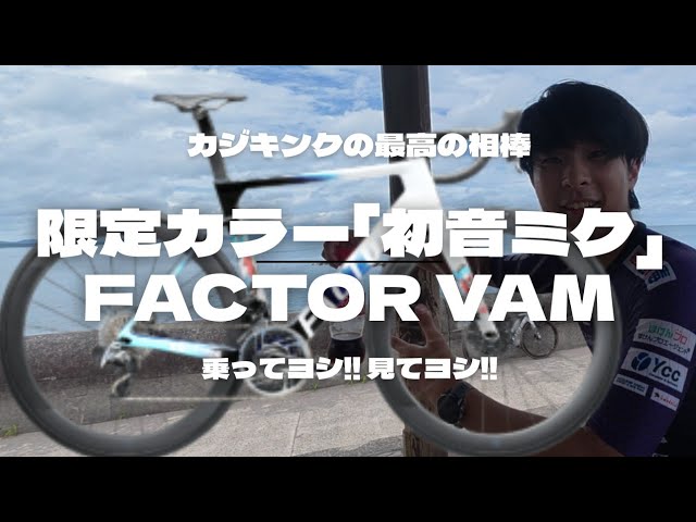 Equipment Introduction Limited Color Hatsune Miku FACTOR VAM