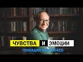 Чувства и эмоции | В чем разница ?